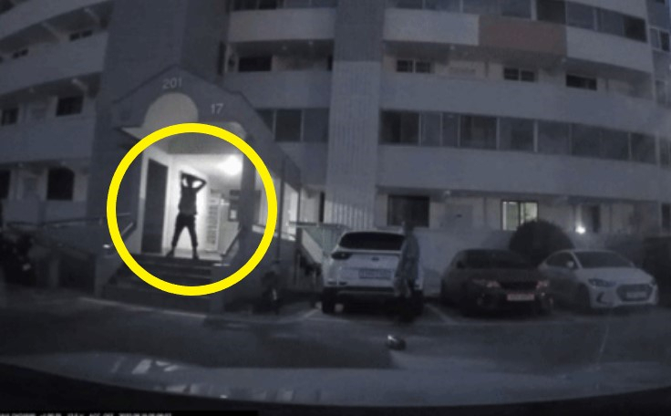 아파트 지상 주차장으로 소화기를 던지고 있는 남성의 모습. [보배드림 캡처]