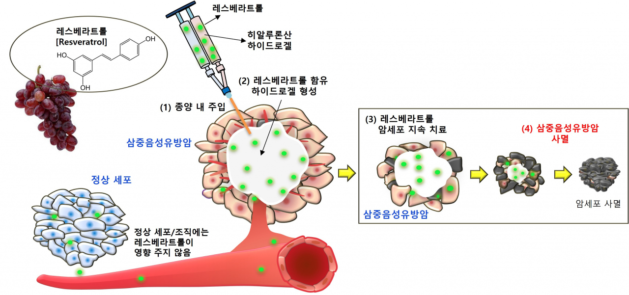 김문석 교수 연구 개발