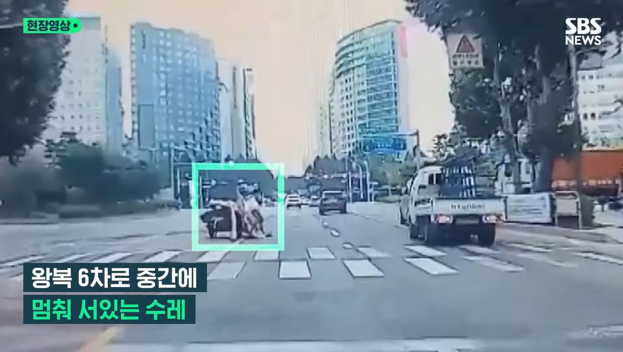 지난 18일 서울 강서구 6차대로에서 한 할머니가 끌던 수레에서 폐지가 쏟아졌다. [SBS 방송화면]