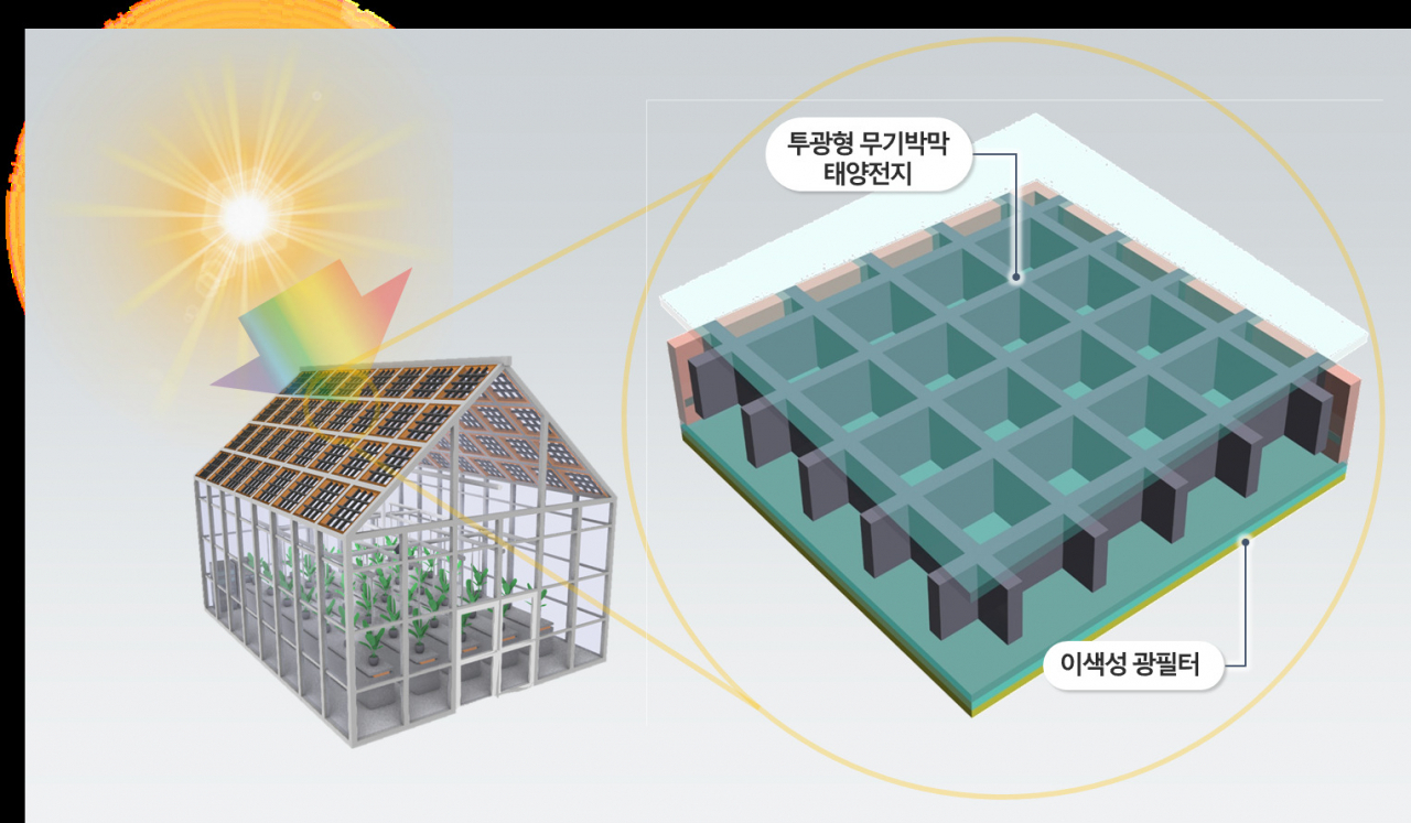 스마트팜 온실 전용 선택적 광투과 태양전지 개념도.[KIST 제공]