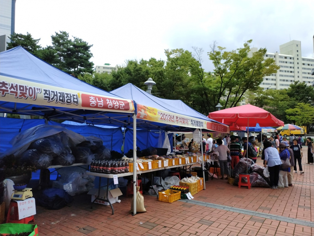 마포구에서 2019년 운영된 추석맞이 농·특상물 직거래 장터 모습. [마포구 제공]