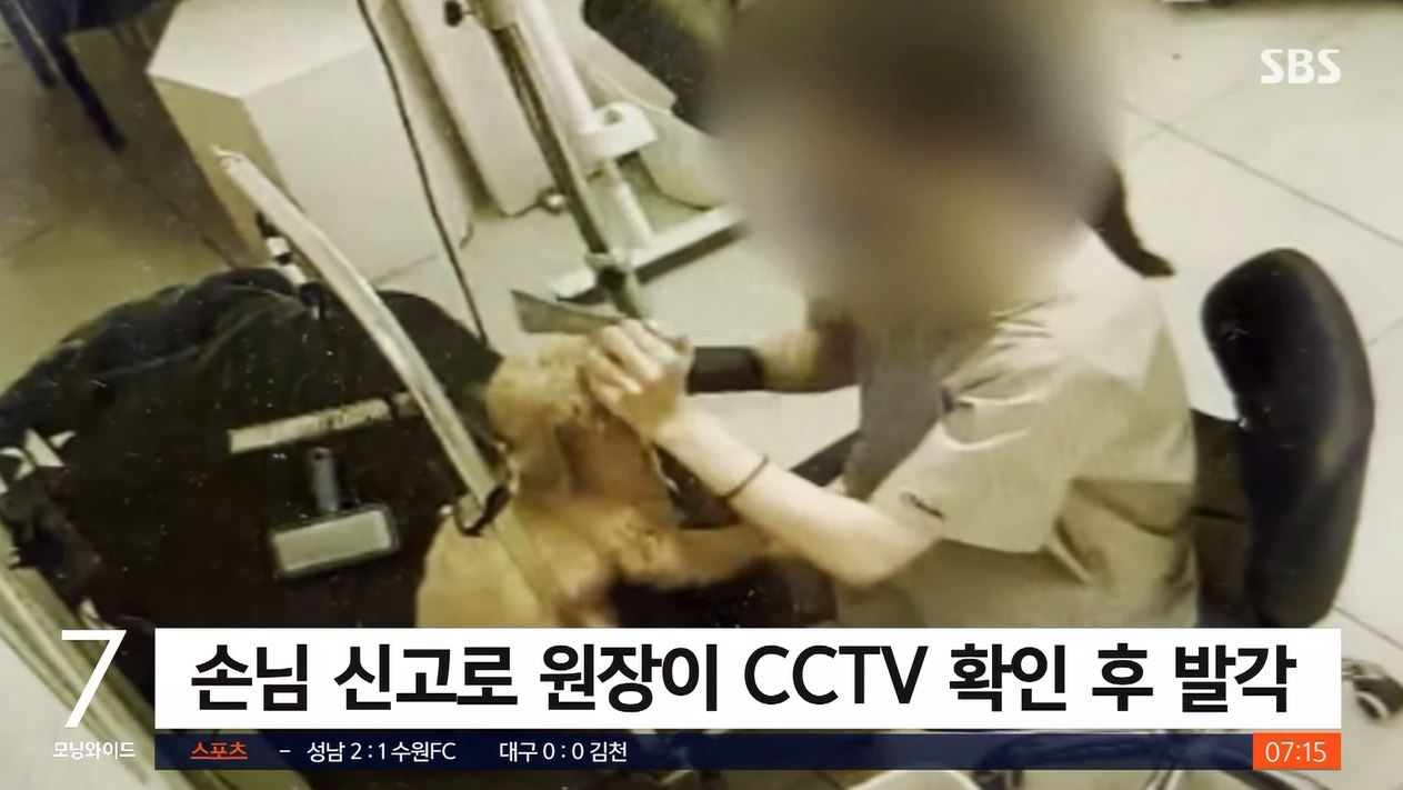 경남 창원의 한 애견 미용실 CCTV에 애견 미용사 A씨가 강아지들을 학대한 모습이 포착됐다. [SBS 보도화면]