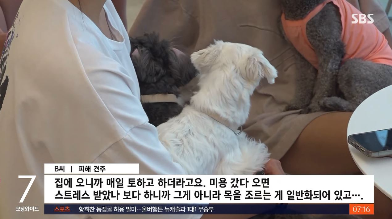 A씨의 학대로 피해를 입은 견주는 "(강아지가) 미용 갔다 집에 오면 매일 토했다"고 밝혔다. [SBS 보도화면]