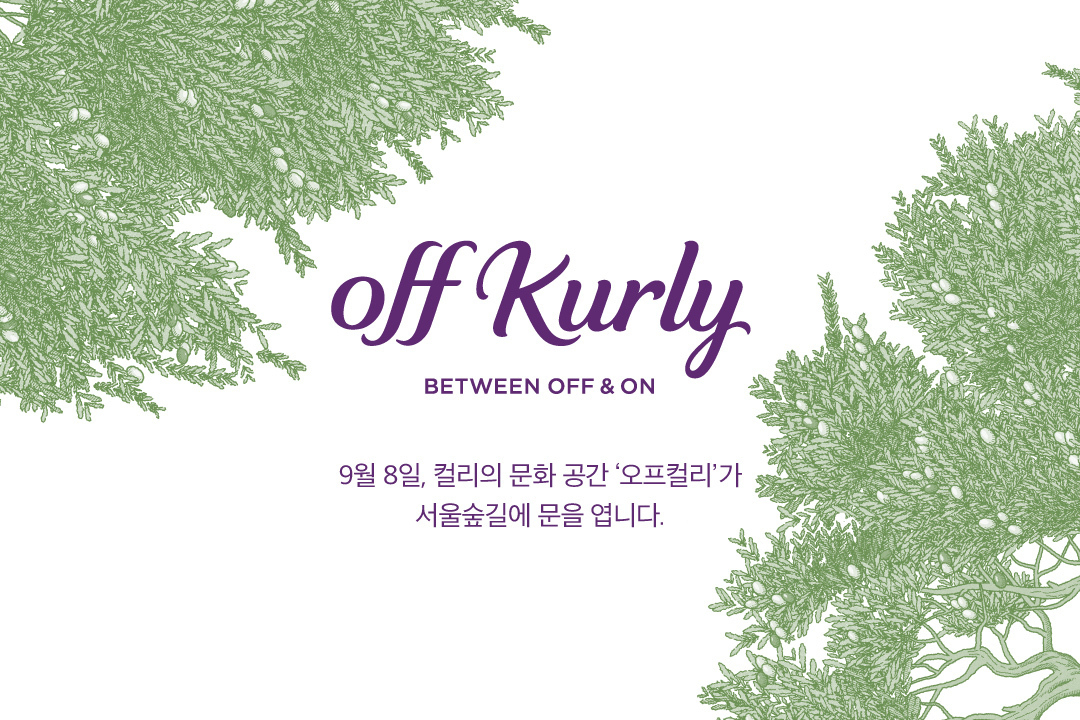 마켓컬리가 9월 서울 성수동에 소규모 체험형 문화공간을 오픈한다. [컬리 제공]