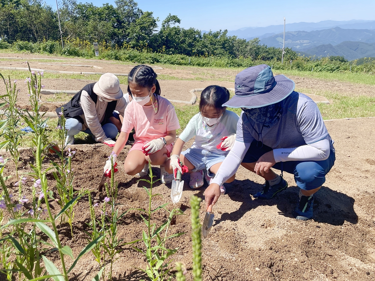 하이원이 고객과 해발 1340m 슬로프에 꽃밭을 만들고 있다.