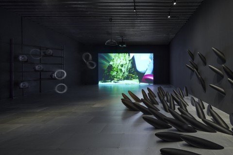 Feast your eyes on art around town