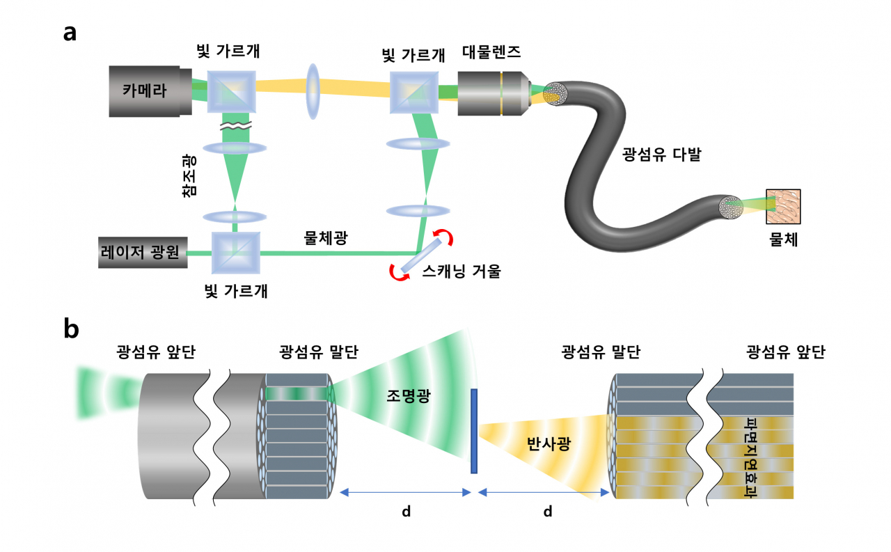 고해상도 광섬유 다발 반사 홀로그래피 내시경의 원리.[IBS 제공]