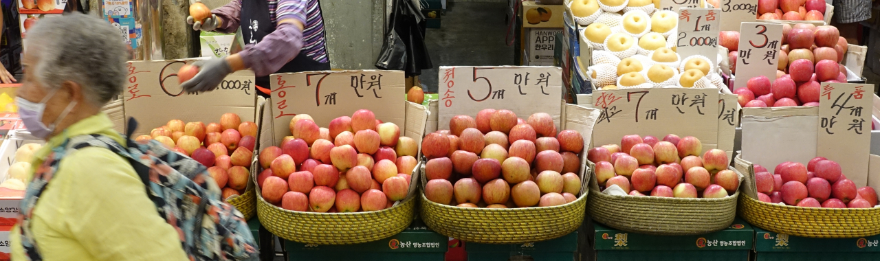 제수용 과일인 사과가 지난해 대비 15% 급등했다. 사진은 지난 2일 서울 동대문구 경동시장에서 상인이 사과를 파는 모습. [연합]