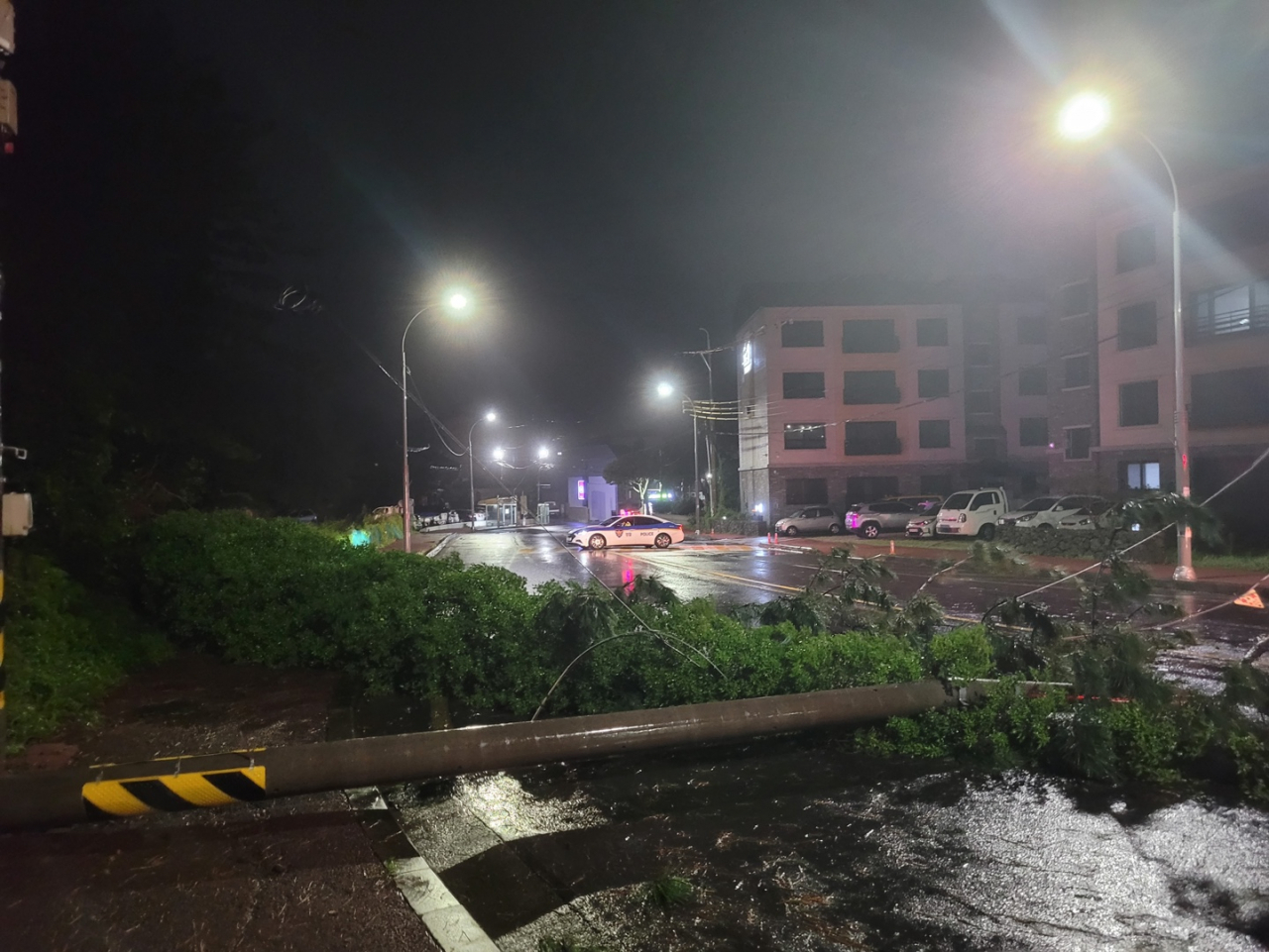 태풍 힌남노의 직접 영향을 받은 6일 오전 소방관들이 제주시 오라2동 한 도로에 쓰러진 전신주와 가로수를 정리하고 있다. [연합]