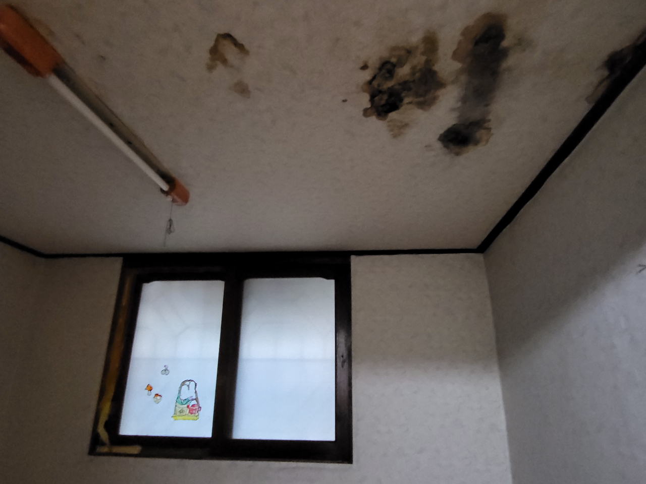 남재하(56)씨가 세를 놓고 있는 삼양동의 방. 연이은 폭우에 누수된 집안 곳곳에 곰팡이가 피어 있다. 박혜원 기자