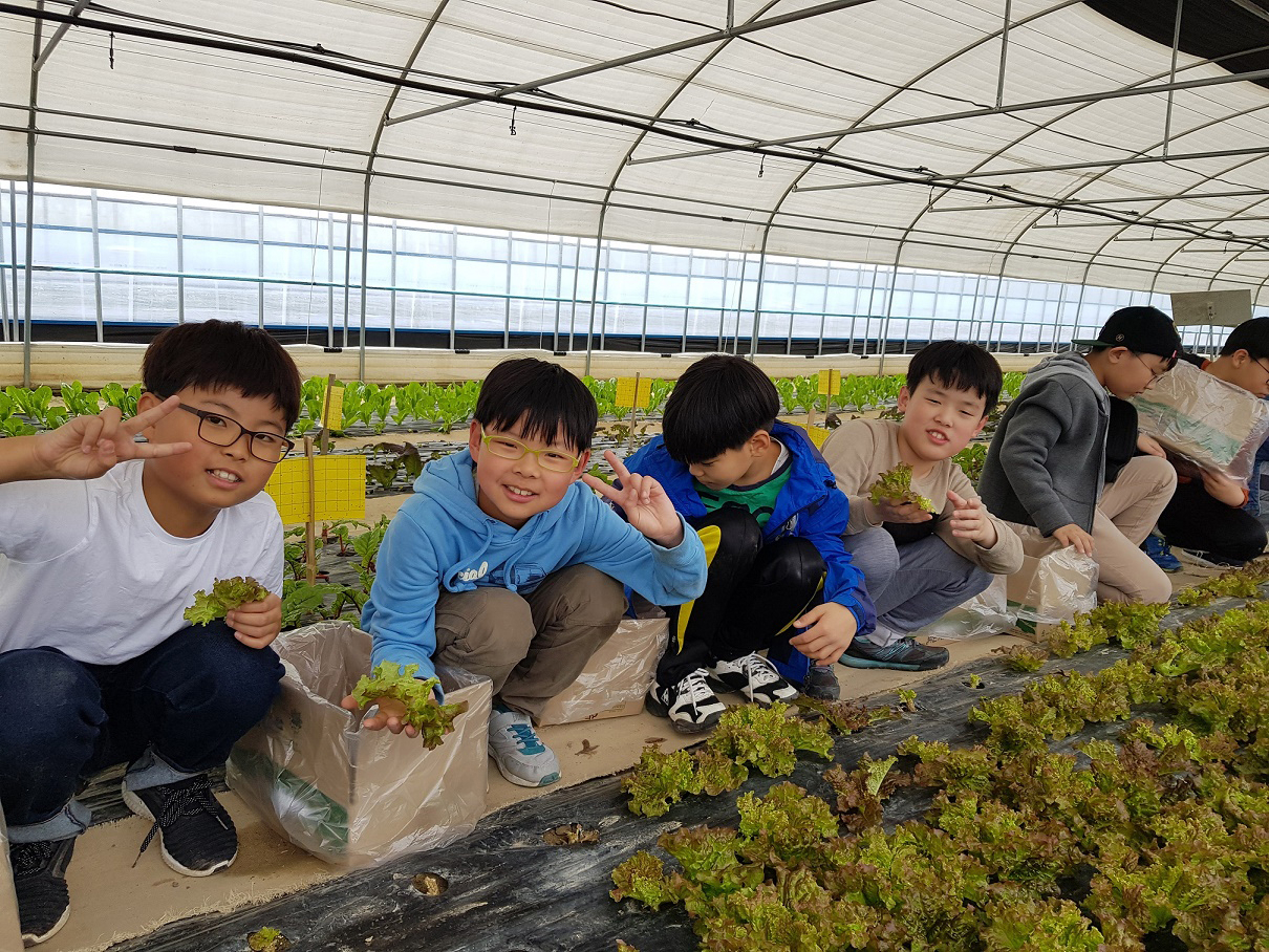 추석 연휴 전남 농촌마을서 힐링하세요