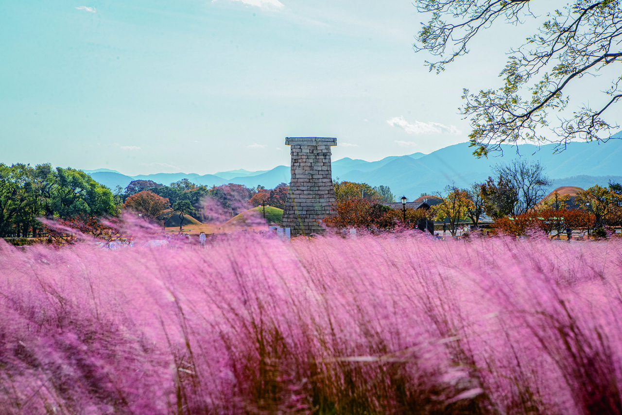 가을 23선에 선정된 경주역사유적지구(첨성대) 모습.[경북문화관광공사 제공]
