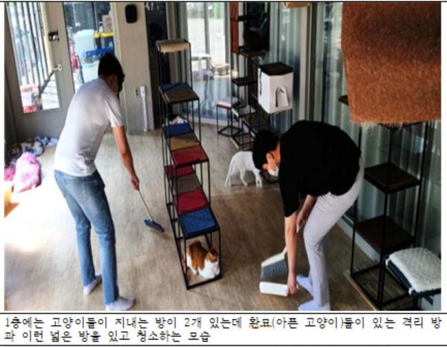 기업은행 유기묘 봉사동호회 '고양이 지켜야돼' 활동모습