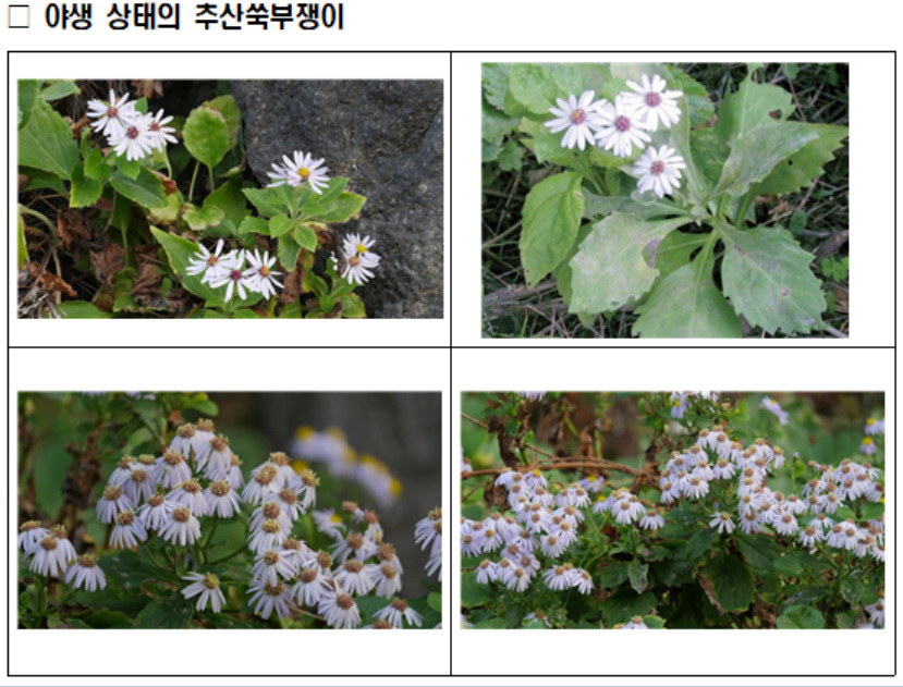 [국립생물자원관 제공]