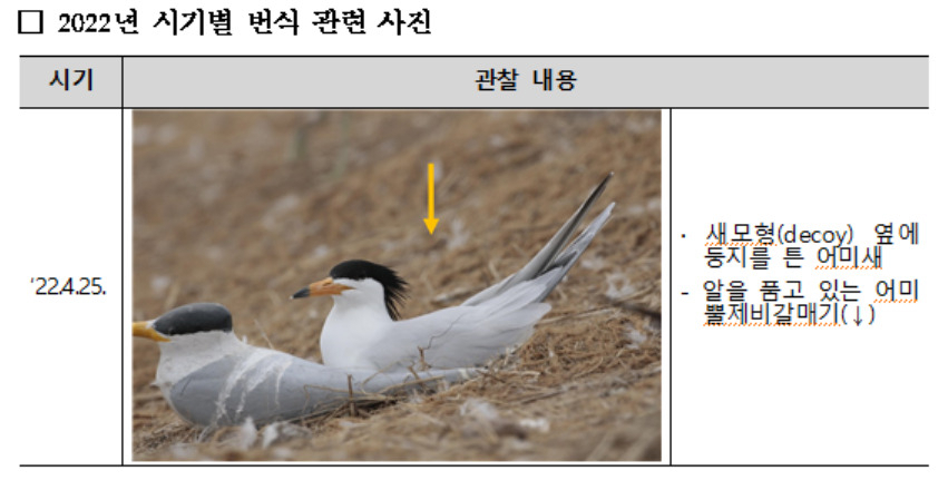 [환경부 제공]