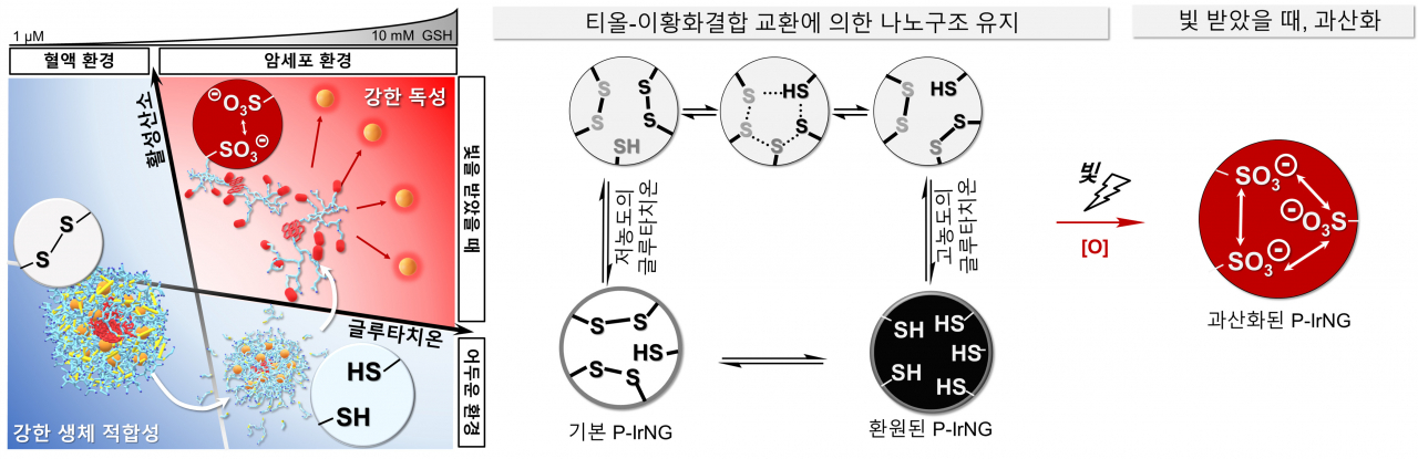 산화-환원 반응에 따른 나노젤의 구조 변화 모식도.[UNIST 제공]