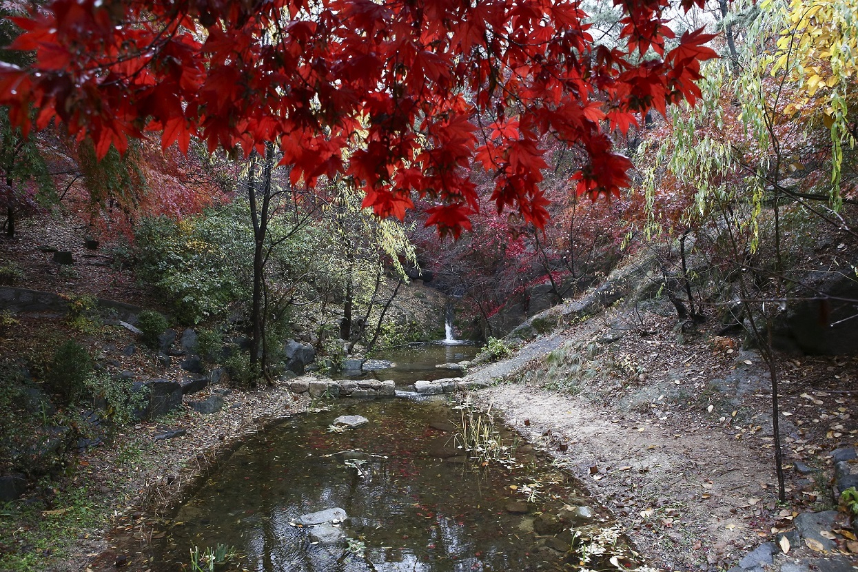 서울 종로구에 위치한 삼청공원. [종로구 제공]