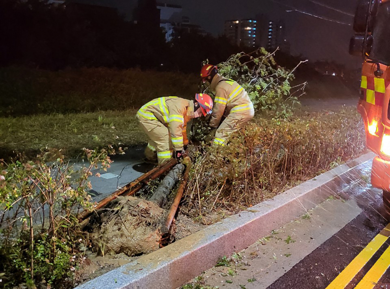 This photo from fire authorities shows firefighters tending a tree that fell over in the wake of Typhoon Nanmadol in Ulsan on Monday. (Yonhap)