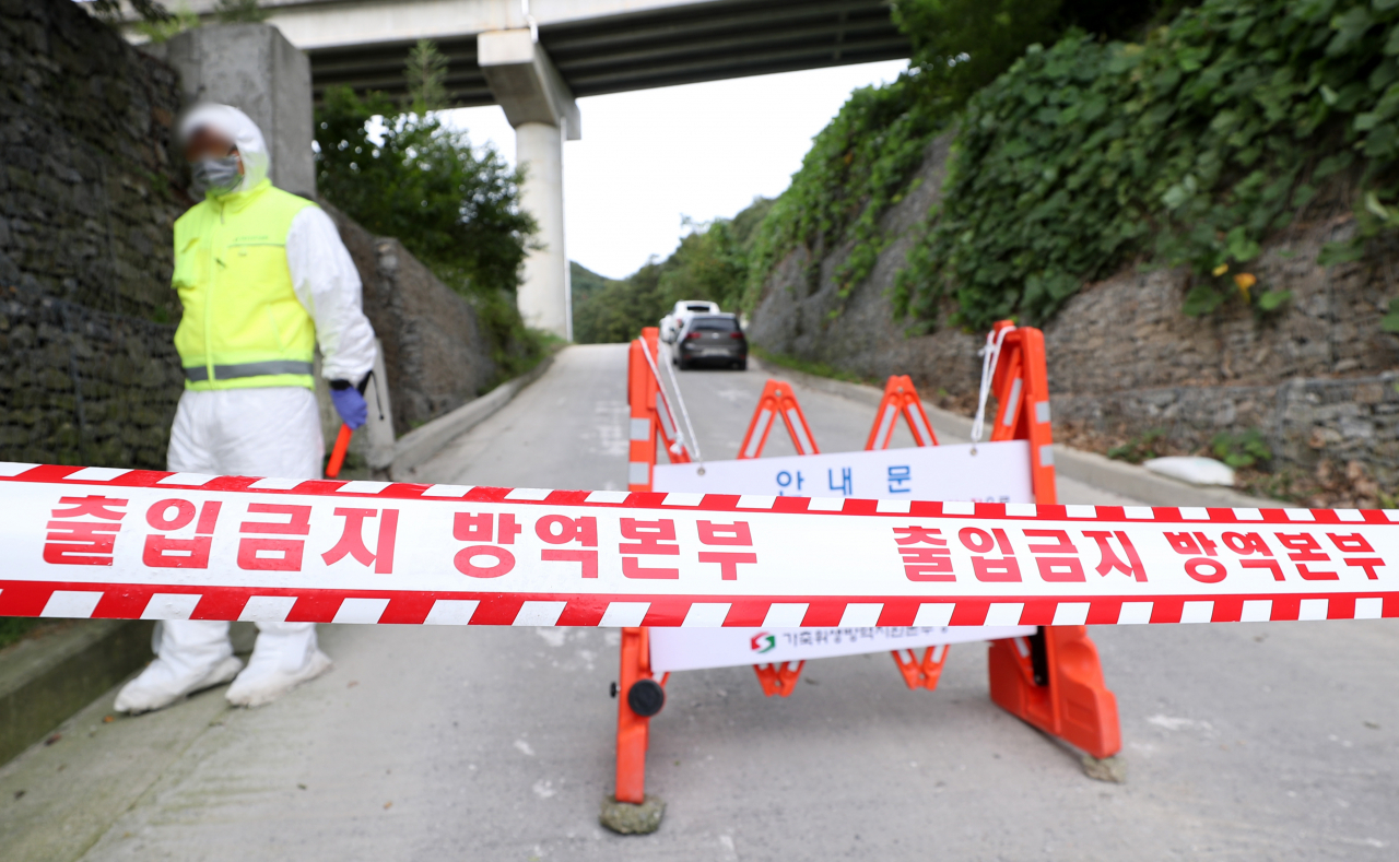 ‘가축전염병’ 럼피스킨·아프리카돼지열병 동시 발생…소·돼지고기 가격 급등 우려