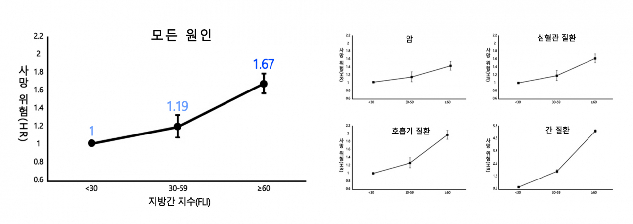 전체 및 질병별 사망 위험에 대한 지방간 지수의 영향. 사망 위험은 지방간 지수에 비례해 선형적으로 증가했다. 전체 사망 위험은 낮은 그룹에 비해 중간 그룹에서 19%, 높은 그룹에서 67% 더 높았다. (연령, 성별, 흡연, 음주, BMI, 허리둘레 등 변수 보정이 이뤄짐)