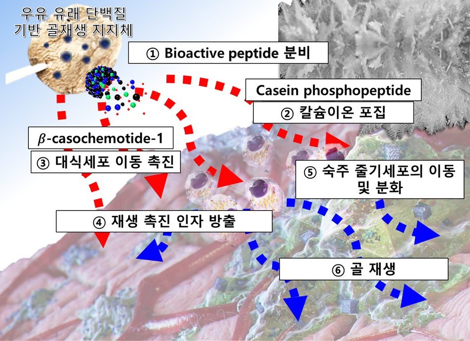 [단국대 제공]
