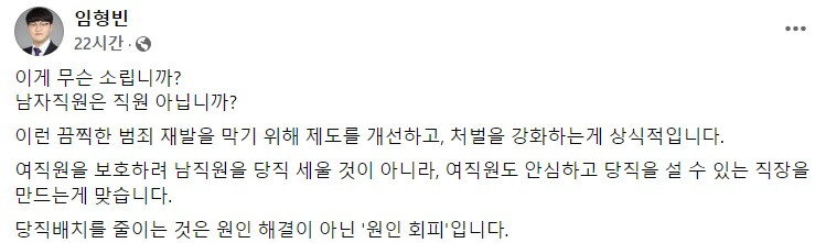 임형빈 국민의힘 상근부대변인 페이스북 일부 캡처