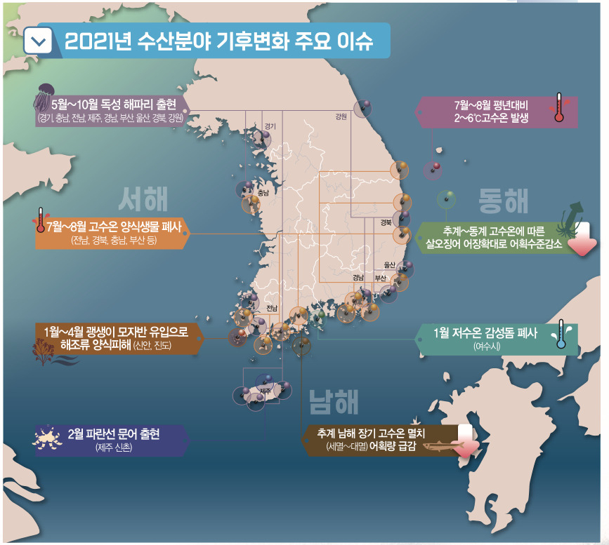 제주 바다에 맹독성 문어·바다뱀까지 나온다[지구, 뭐래?]