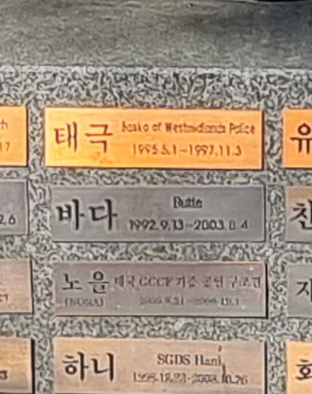 삼성화재안내견학교 내 안내견 추모공원의 안내견상에 새겨진 '바다'의 명패. 김지헌 기자