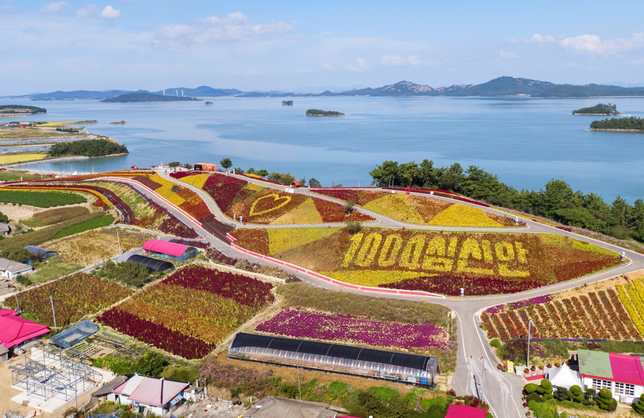 병풍도 맨드라미 동산의 윗부분