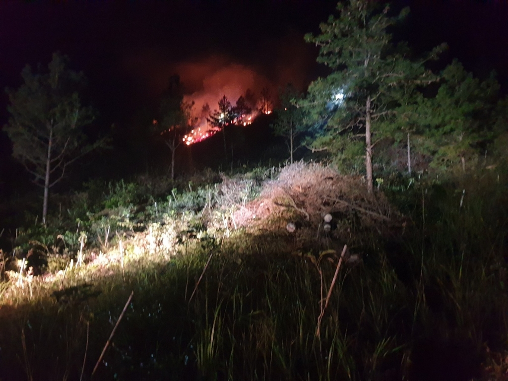 전남 해남에서 밤사이 산불…3시간 여 만에 진화