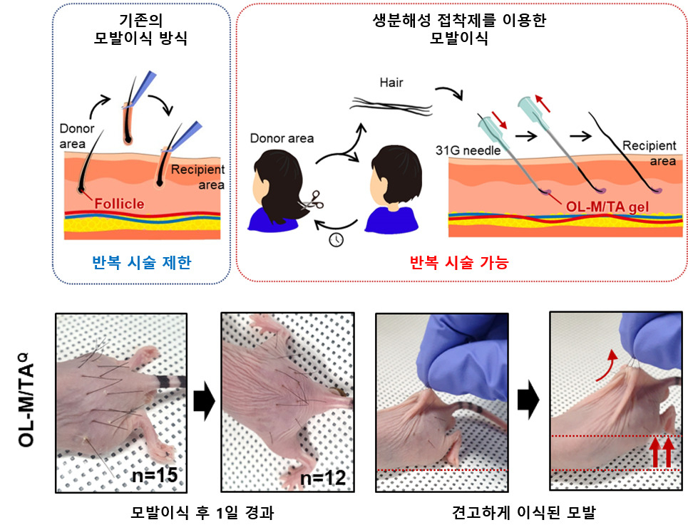 화제의 염색샴푸 개발 이해신 KAIST 교수 “3년 내 탈모와의 전쟁 끝낸다”