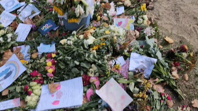 엘리자베스 2세 여왕의 국장을 치른 후 일주일이 지났지만, 영국 현지는 여전히 여왕에 대한 추모 분위기로 가득 차 있다. 25일(현지시간) 영국 왕가가 있는 버킹엄궁 인근 공원이 시민들이 남긴 꽃들로 가득찬 모습. 김성우 기자
