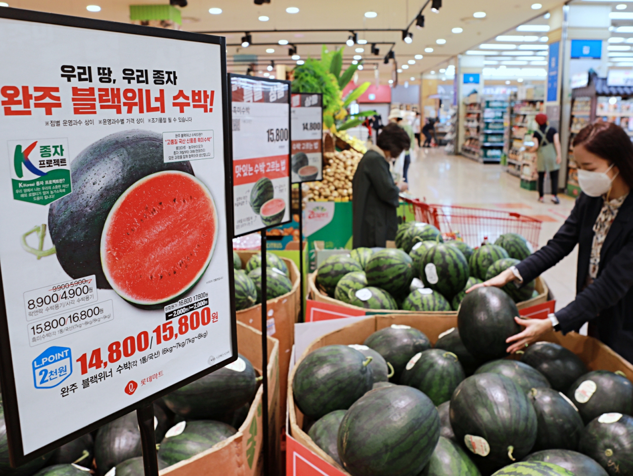 K-품종 프로젝트 상품인 블랙위너 수박.[롯데마트 제공]