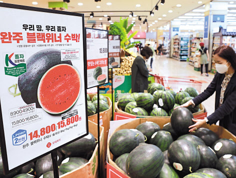 K-품종 프로젝트 상품인 블랙위너 수박. [롯데마트 제공]