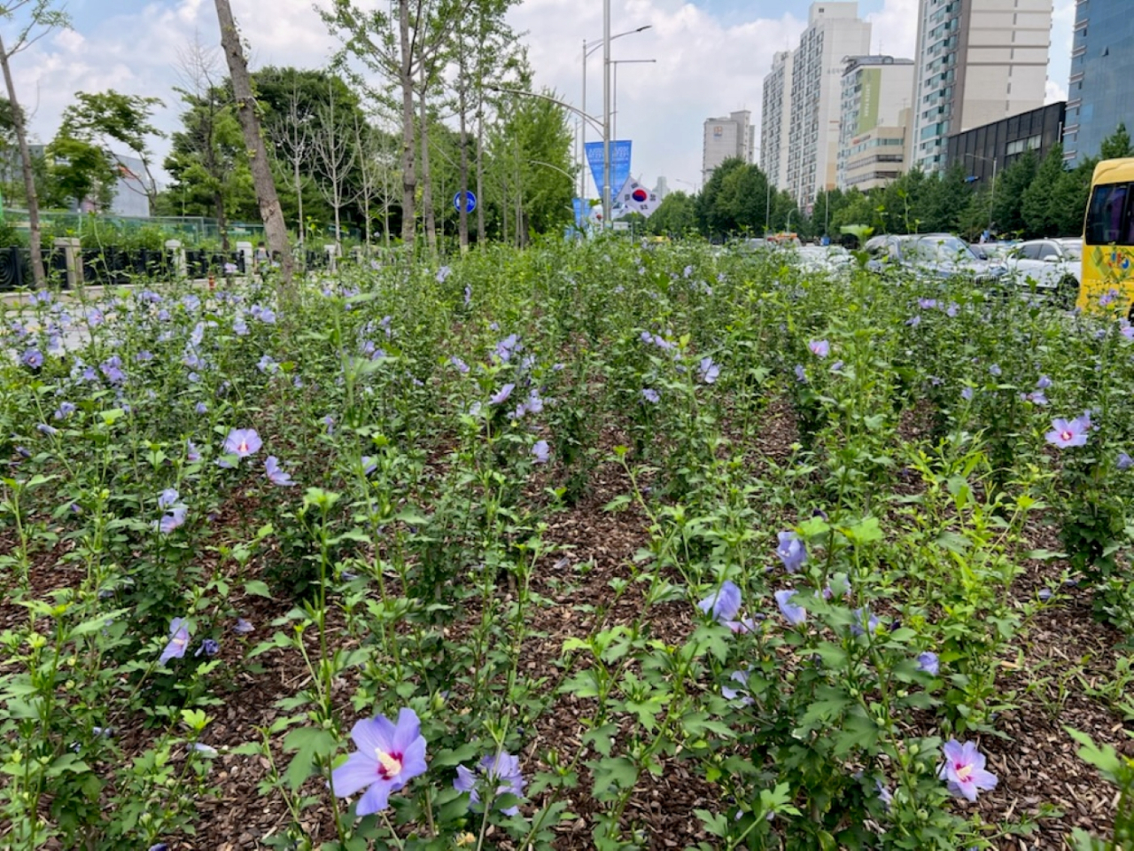 서울 송파구 무궁화 동산