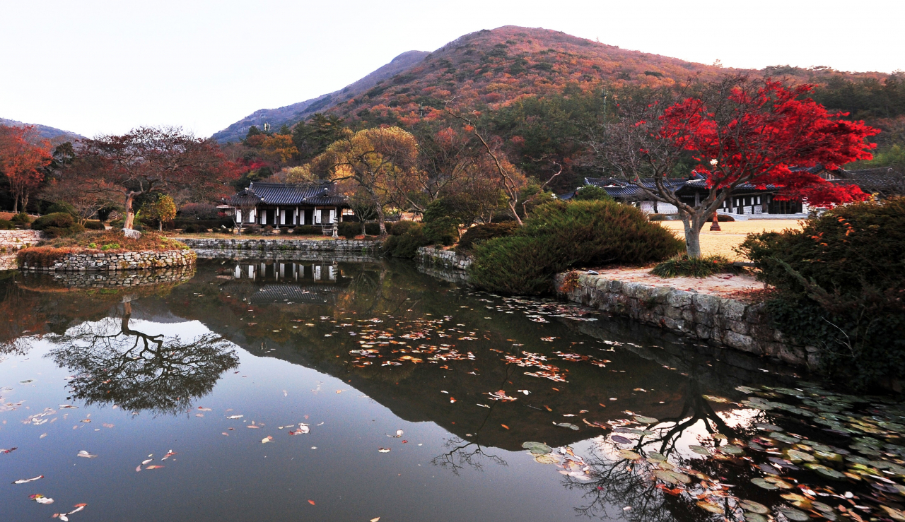 [가을정원 여행] 진도 운림산방 남종화처럼 아름다운 풍경