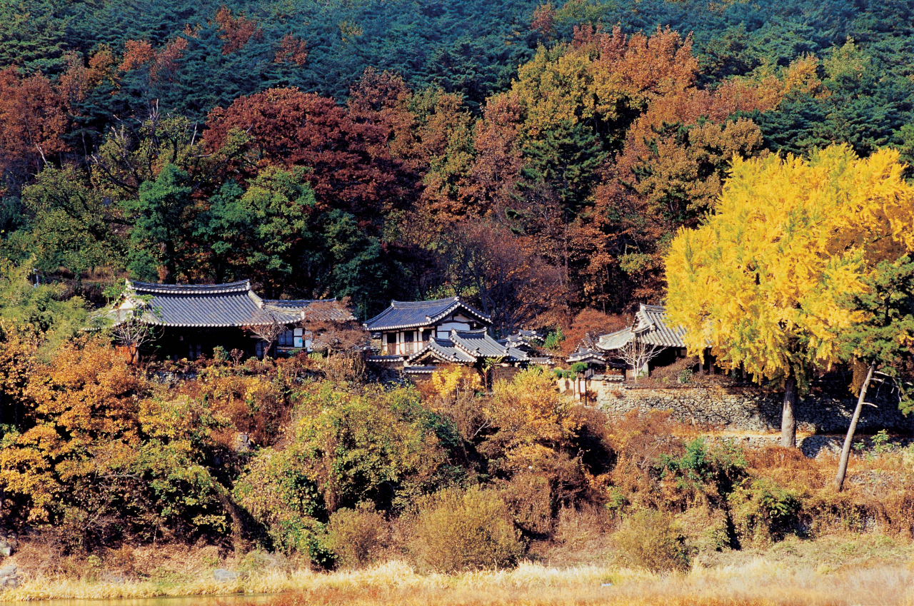 월연대
