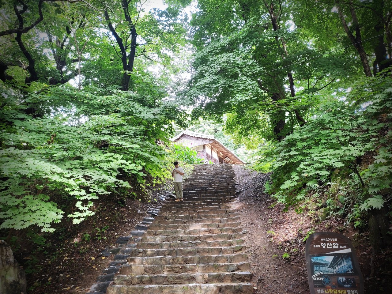 영산암 오르는 길