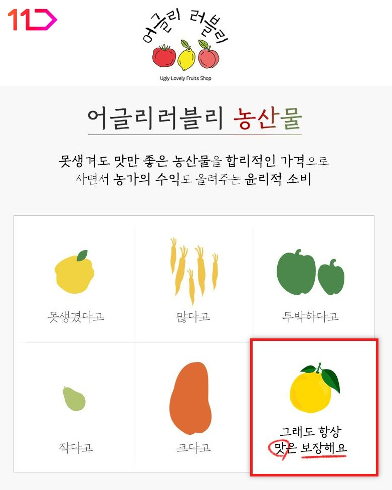 [11번가 제공]