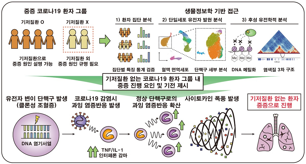 연구 개념도.[KAIST 제공]