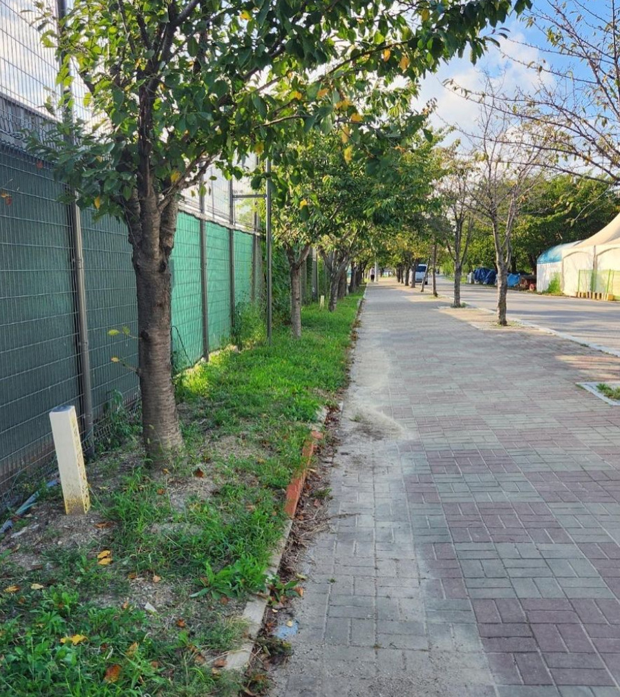 뱀이 나타난 마포구 한강변 산책로.[인스타그램]