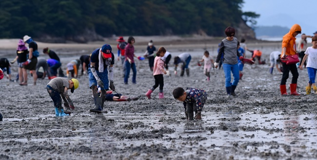 2022 여수 여자만 갯벌노을 체험 행사 열린다