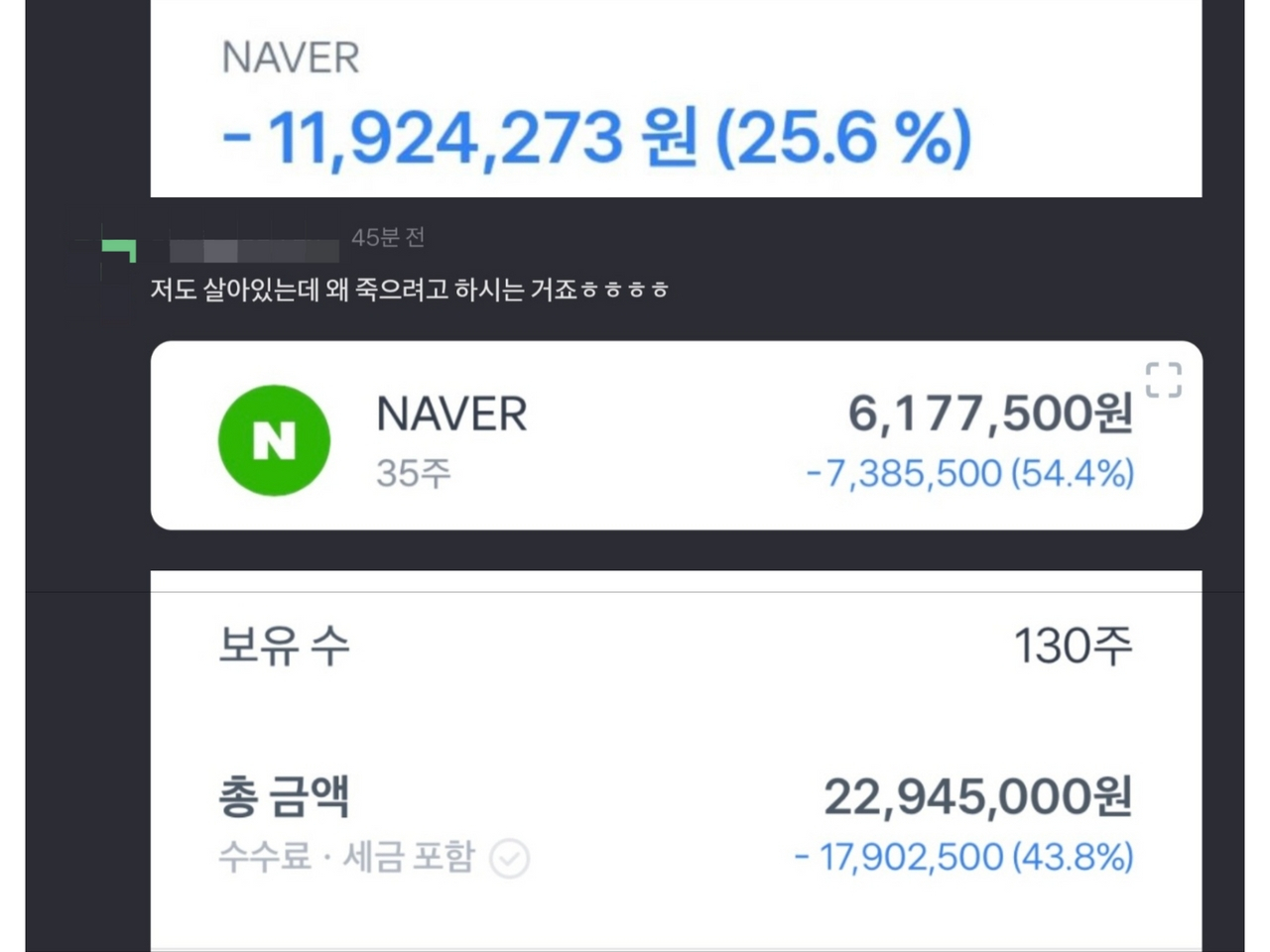 투자자들이 연일 52주 신저가를 기록하는 네이버 주가에 손실을 호소하고 있다.[온라인 커뮤니티 갈무리]