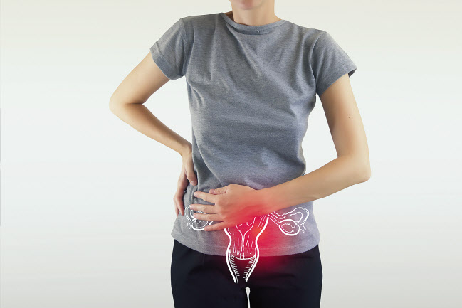 난소암 발병률은 최근 계속 증가하는 추세이고, 보통 50~70세에 호발하는 암이지만 최근 30대 발병률이 가장 빠르게 증가하고 있다.
