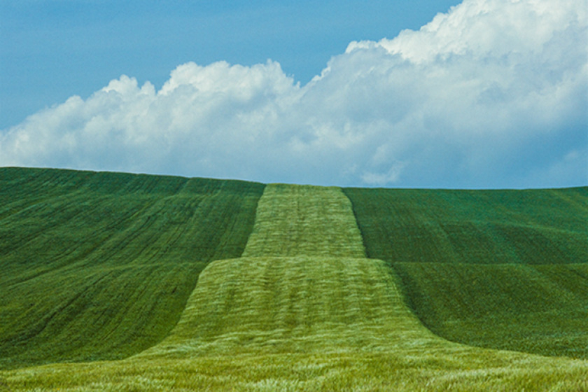 “Basilicata,” 1985 (Franco Fontana)