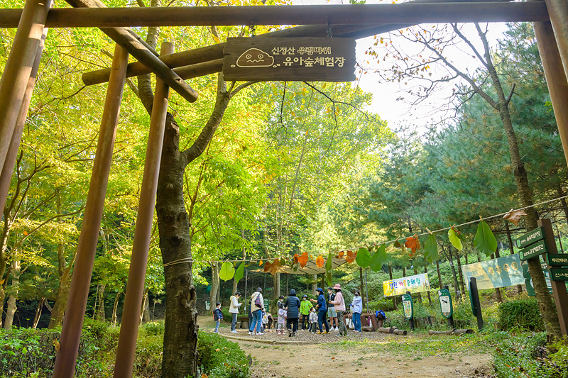 2021년 신정산 우렁바위 유아숲체험원에서 개최된 제8회 유아숲 가족축제. [양천구 제공]