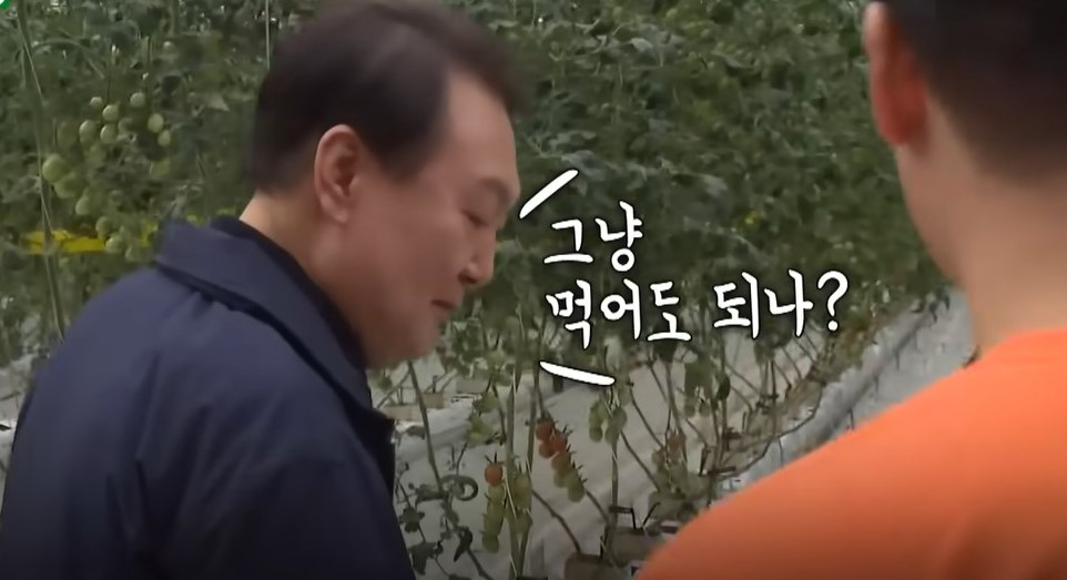 [YTN ‘돌발영상’]