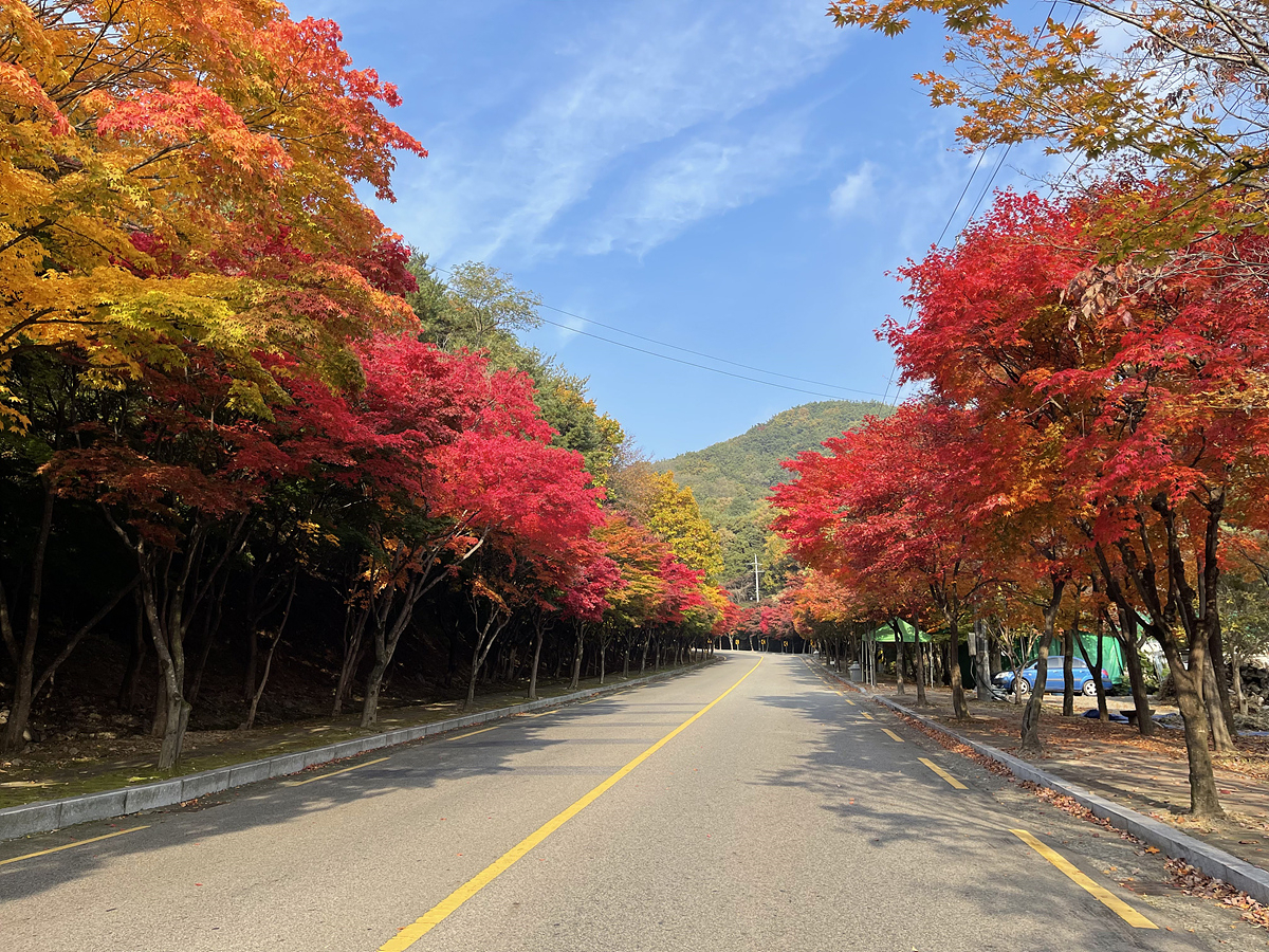 대구 팔공산. [헤럴드경제 DB]