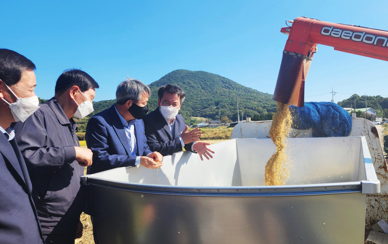 전남농협,벼 신품종(강대찬) 첫 수확