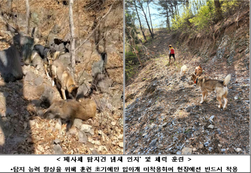 [국립야생동물질병관리원 제공]